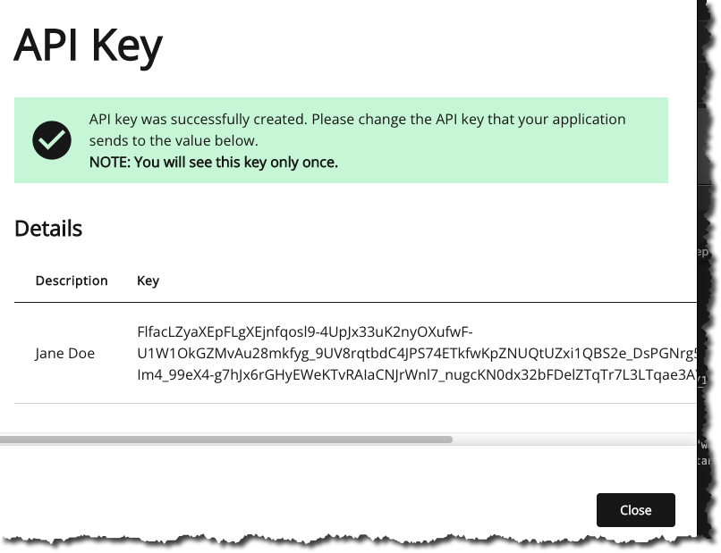 API Key